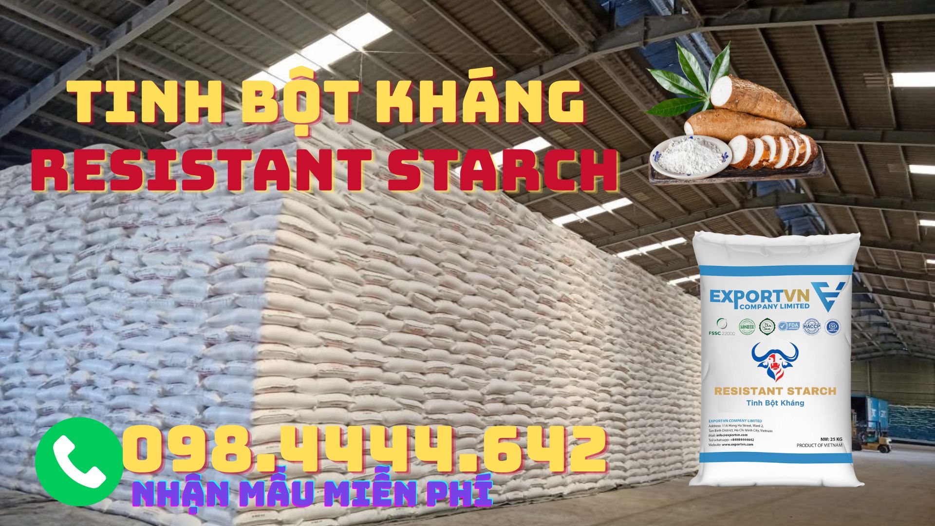 Tinh Bột Kháng Sản Xuất Từ Sắn