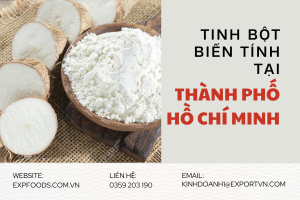 Tinh bột biến tính tại Thành phố Hồ Chí Minh