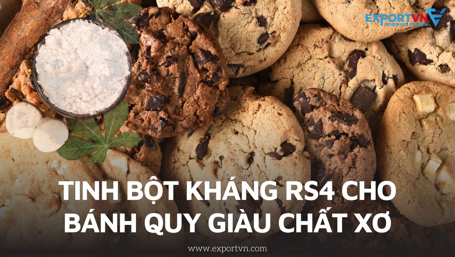 Tinh bột kháng RS4 cho bánh quy giàu chất xơ