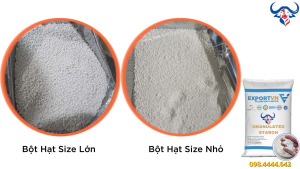 Kích Thước Bột Hạt